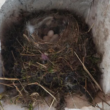 Casa Josefa Casa vacanze